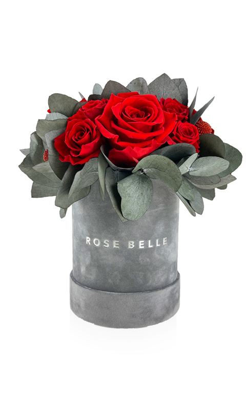 Rose Belle Box S szary DeLuxe czerwony z euk.