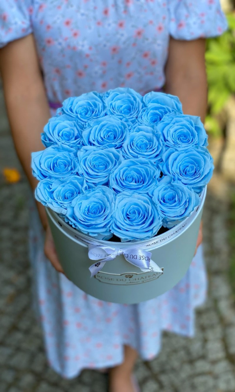 Błękitne Wieczne Róże Błękitny Flowerbox