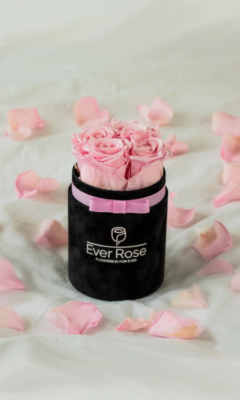FlowerBox RÓŻOWE wieczne róże CZARNY WELUR S